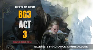 Best Incense Shopping Locations in BG3 Act 3
