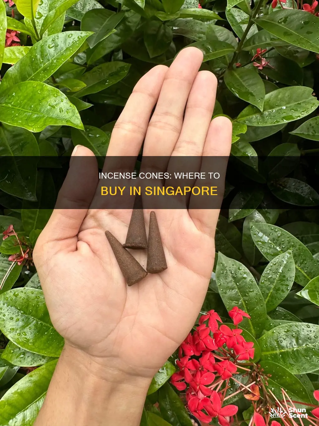 where to buy incense cones in singapore