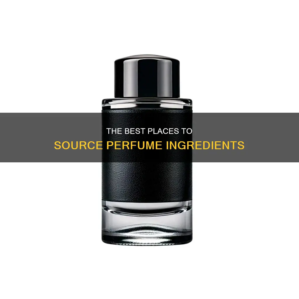 where to buy ingredients for perfume making