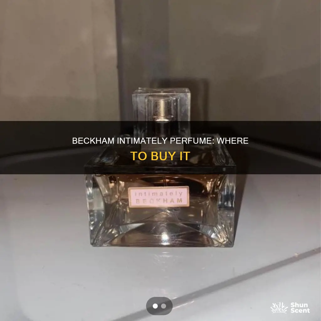 where to buy intimately beckham perfume