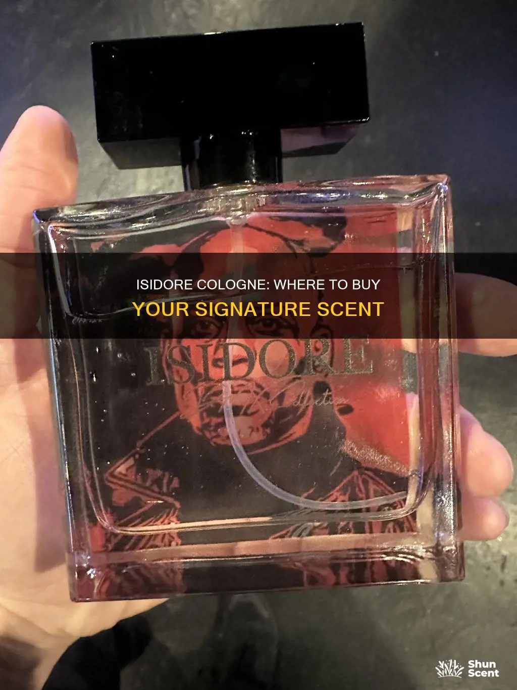 where to buy isidore cologne