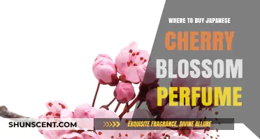 Cherry Blossom Scents: Where to Buy Japanese Perfumes
