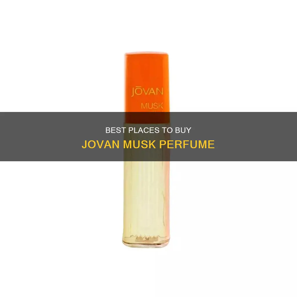 where to buy jovan musk perfume