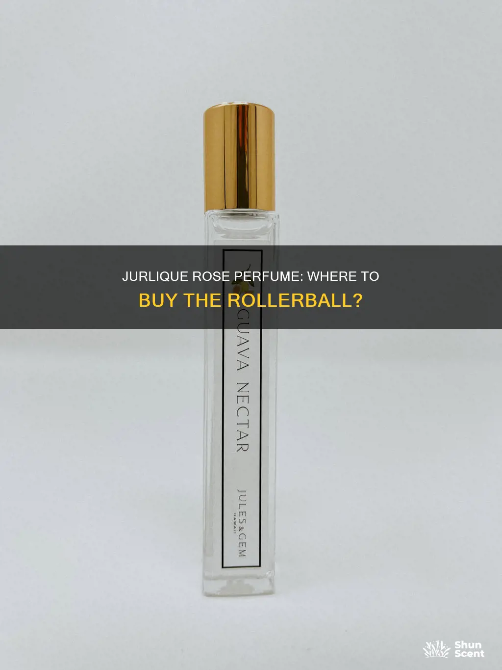 where to buy jurlique roller ball rose perfume