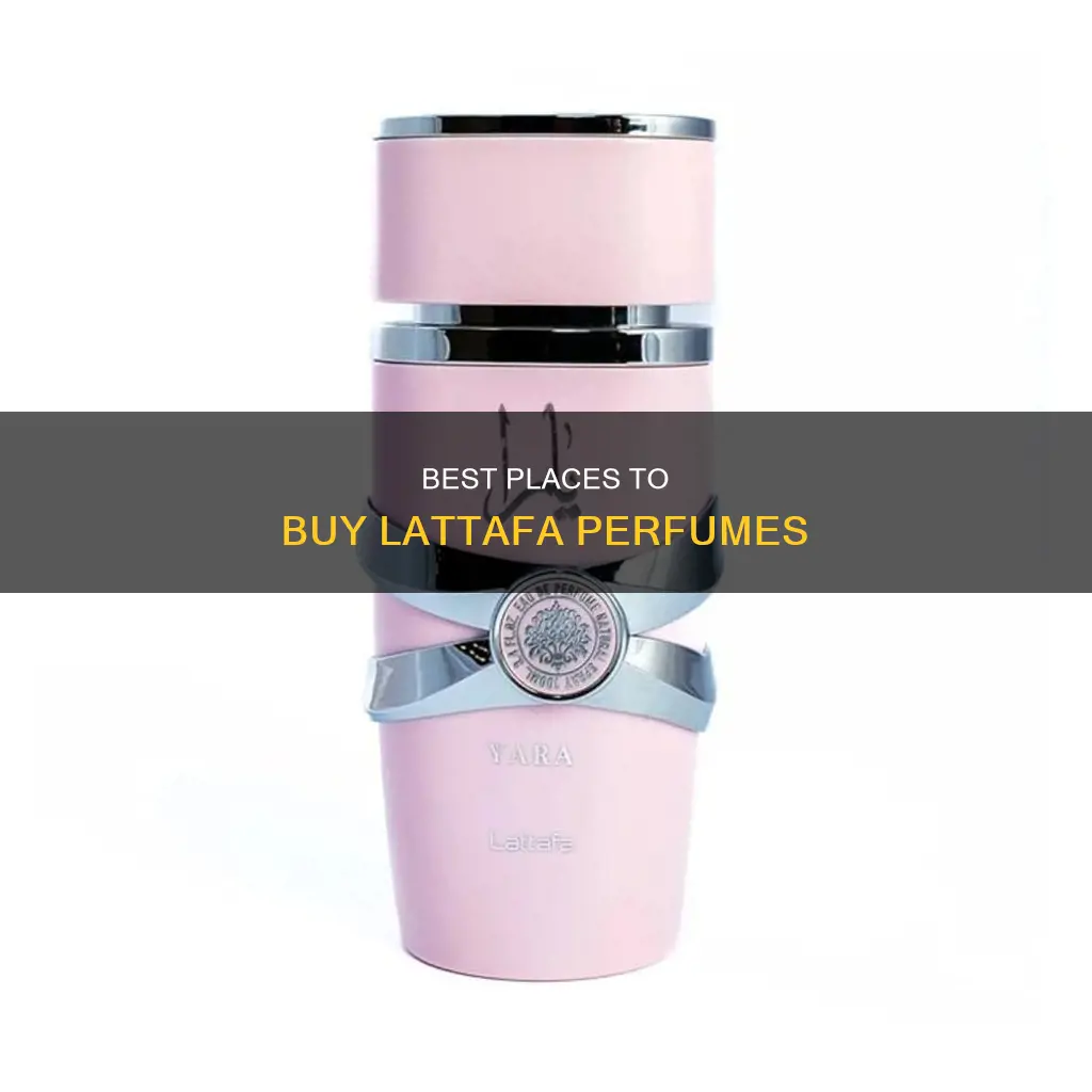 where to buy lattafa perfumes