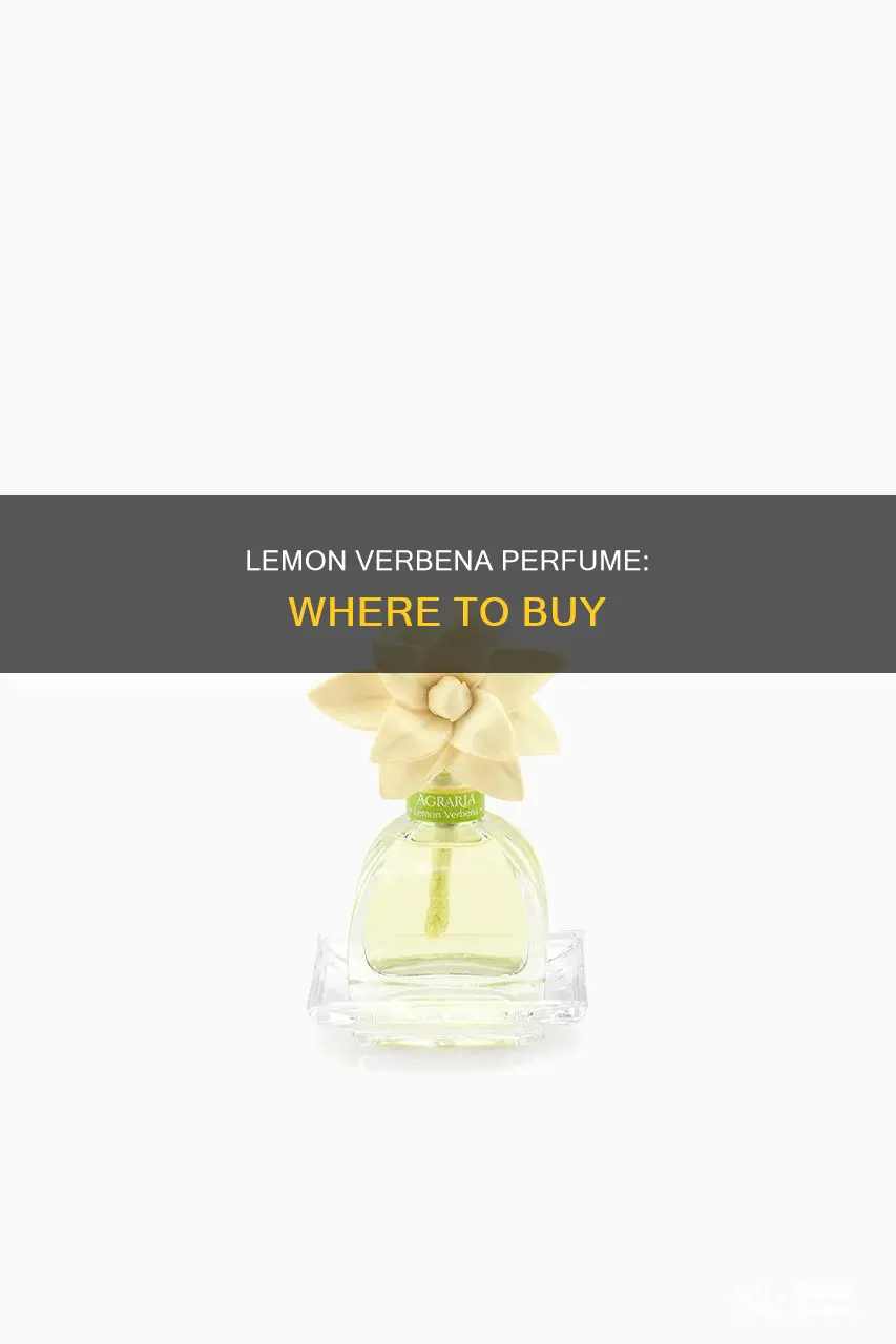 where to buy lemon verbena perfume