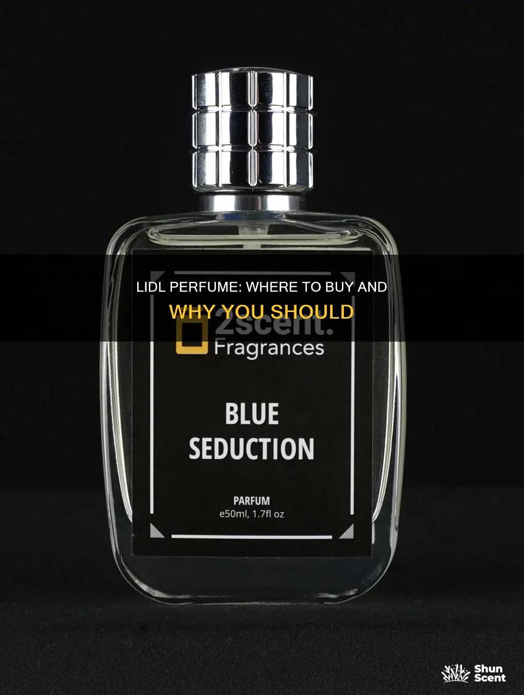 where to buy lidl perfume