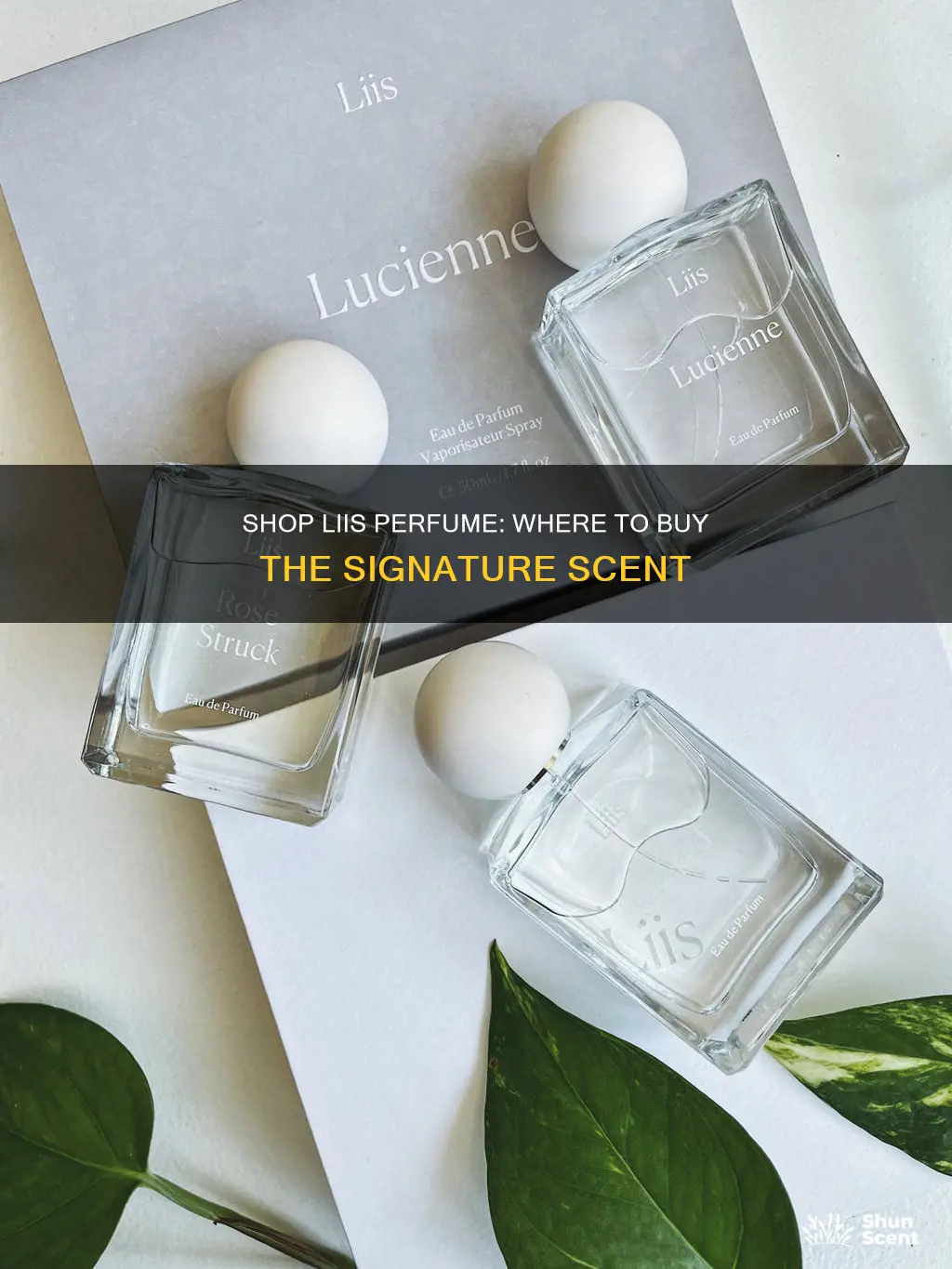where to buy liis perfume