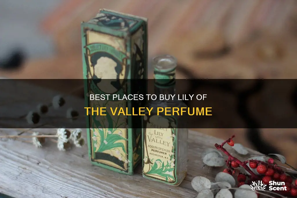 where to buy lilly of the vally perfume