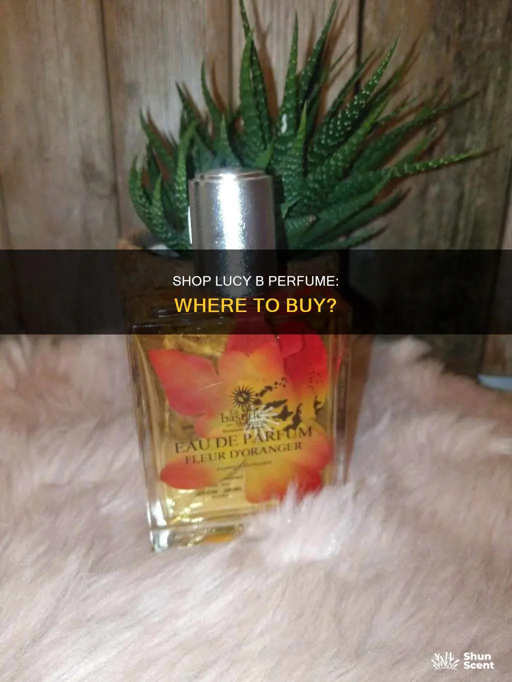 where to buy lucy b perfume