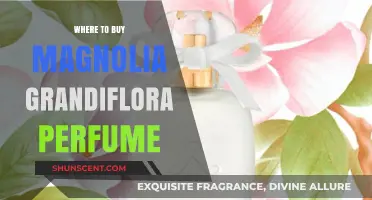 Magnolia Grandiflora Perfume: Where to Buy the Scent