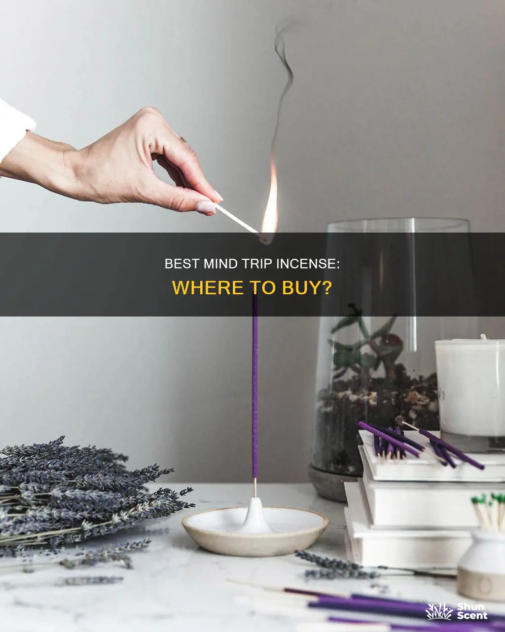 where to buy mind trip incense