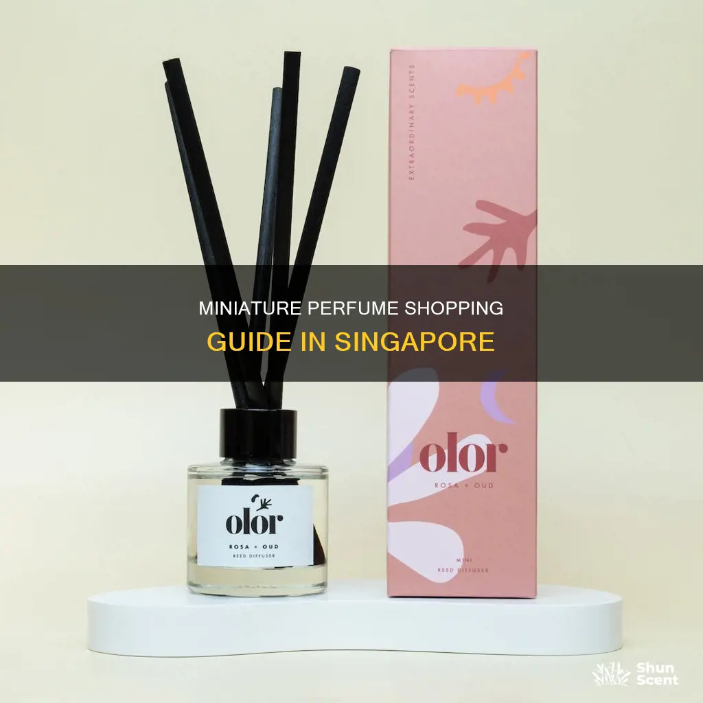 where to buy miniature perfume in singapore