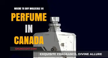 Molecule 01 Perfume: Where to Buy in Canada