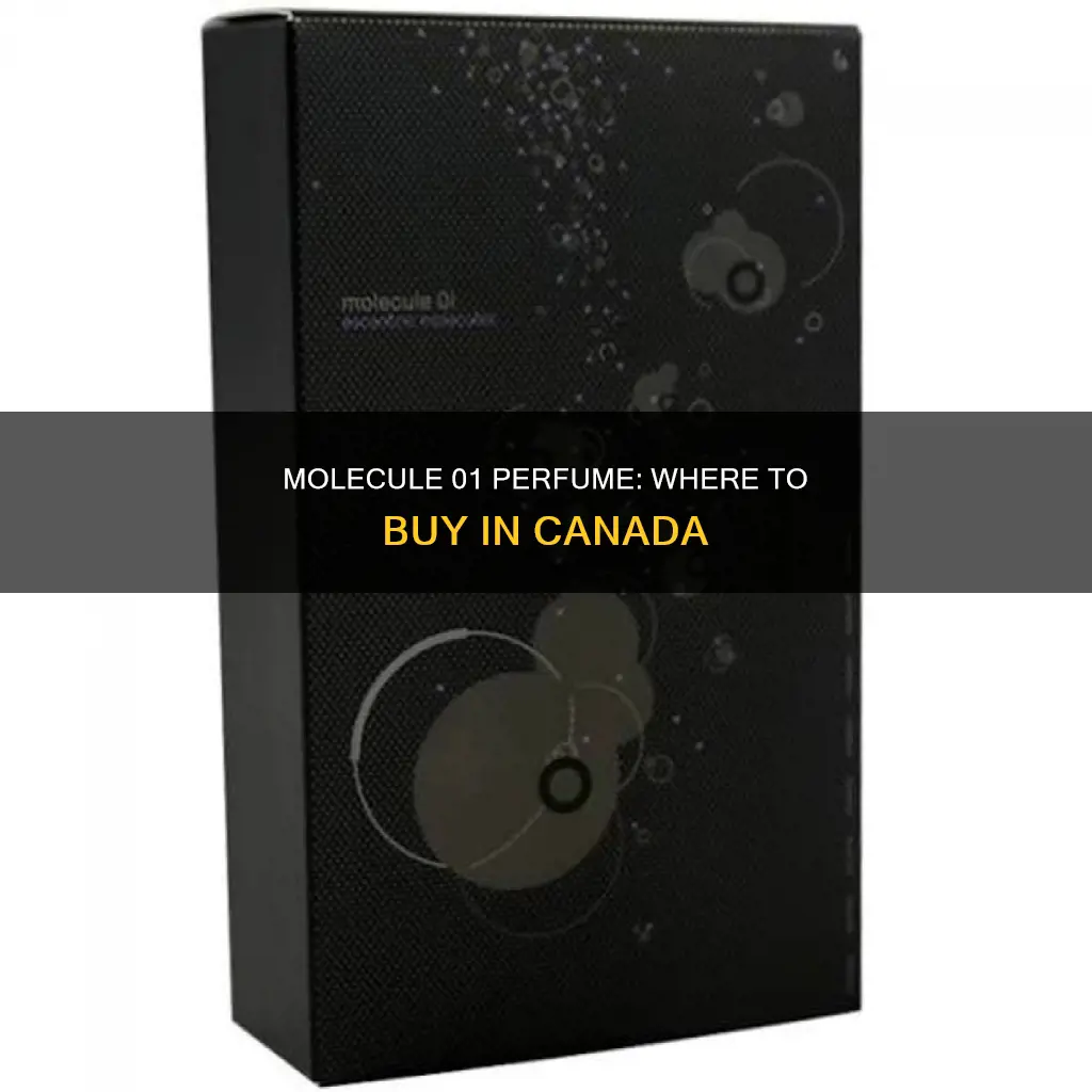 where to buy molecule 01 perfume in canada