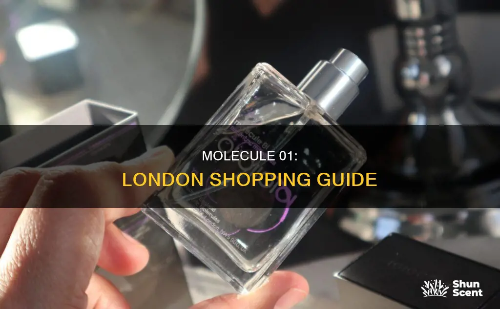 where to buy molecule 01 perfume in london