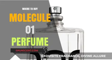 Molecule 01 Perfume: Where to Buy the Iconic Scent