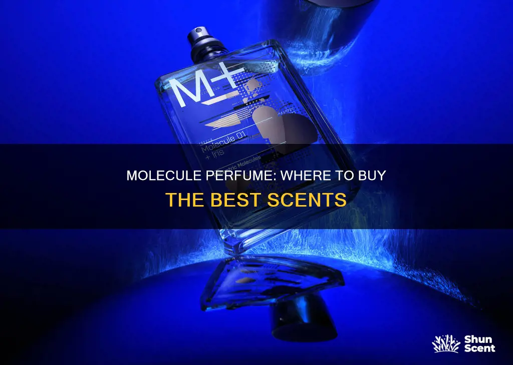 where to buy molecule perfume