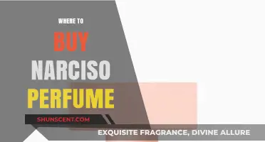 Best Places to Buy Narciso Perfumes