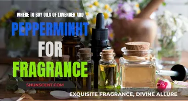 Lavender and Peppermint Oils: Where to Buy for Fragrance