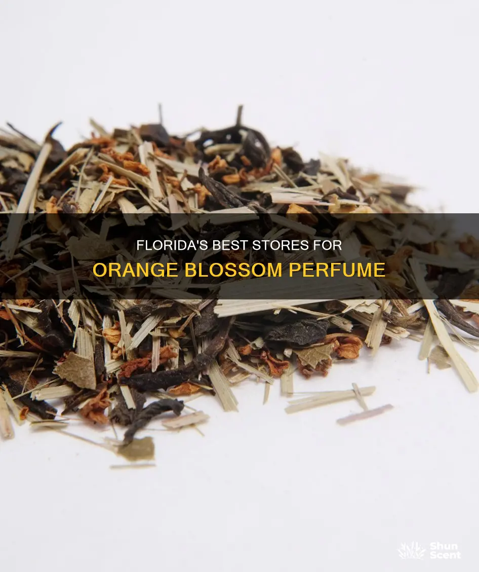 where to buy orange blossom perfume in florida