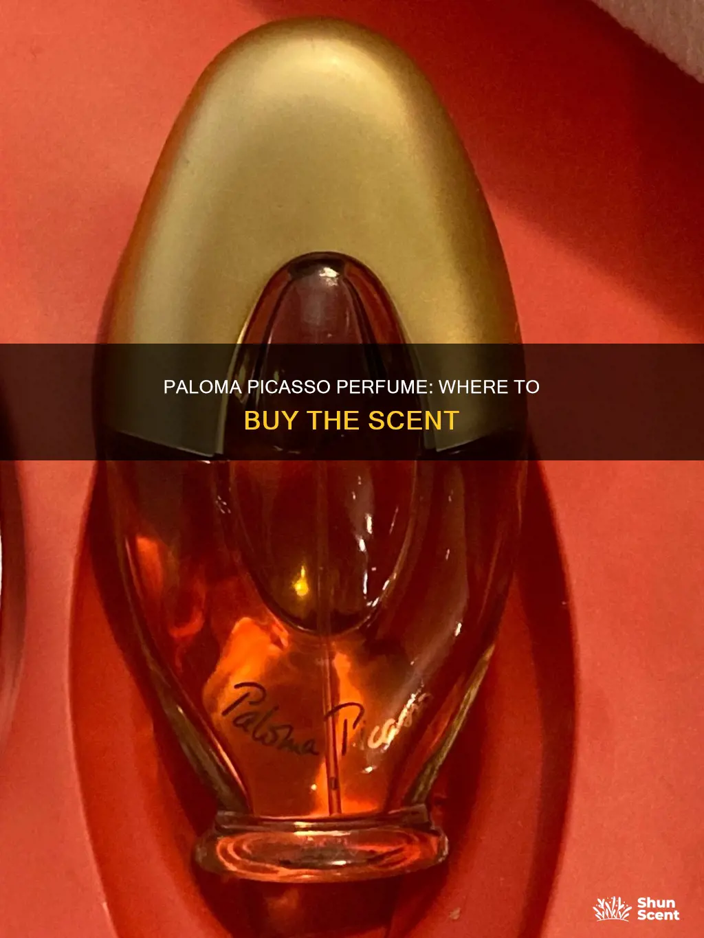 where to buy paloma picasso perfume