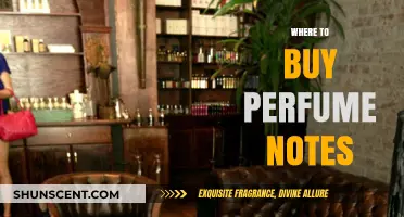 Explore the Art of Perfume Notes Shopping