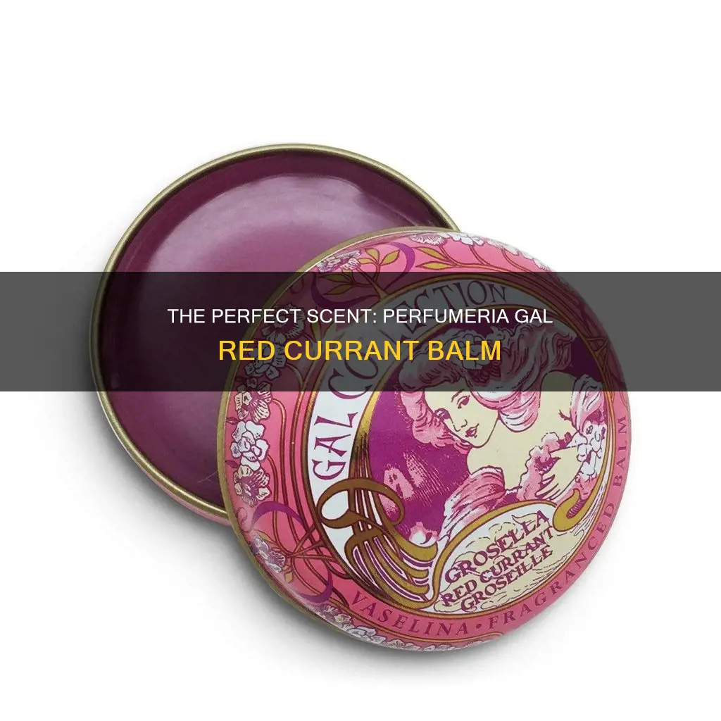 where to buy perfumeria gal fragranced balm red currant 53oz