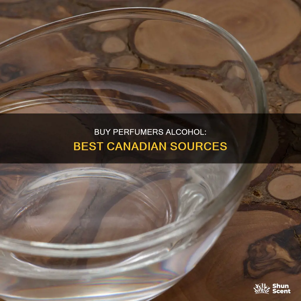 where to buy perfumers alcohol in canada