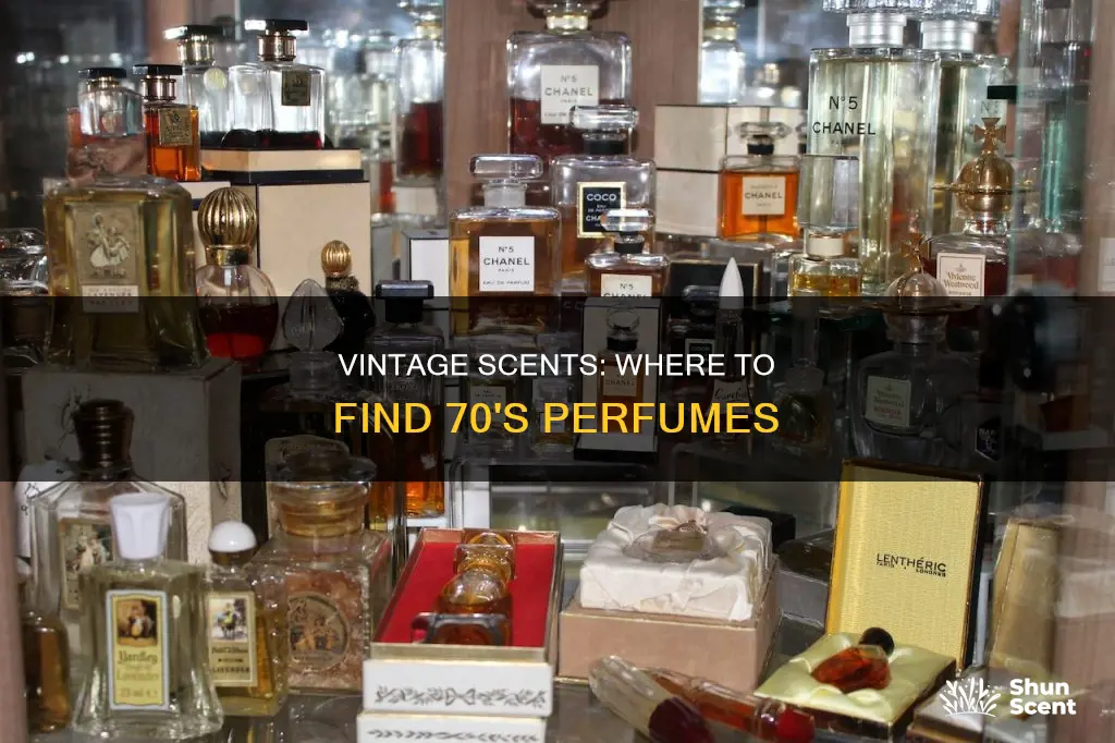 where to buy perfumes from 70