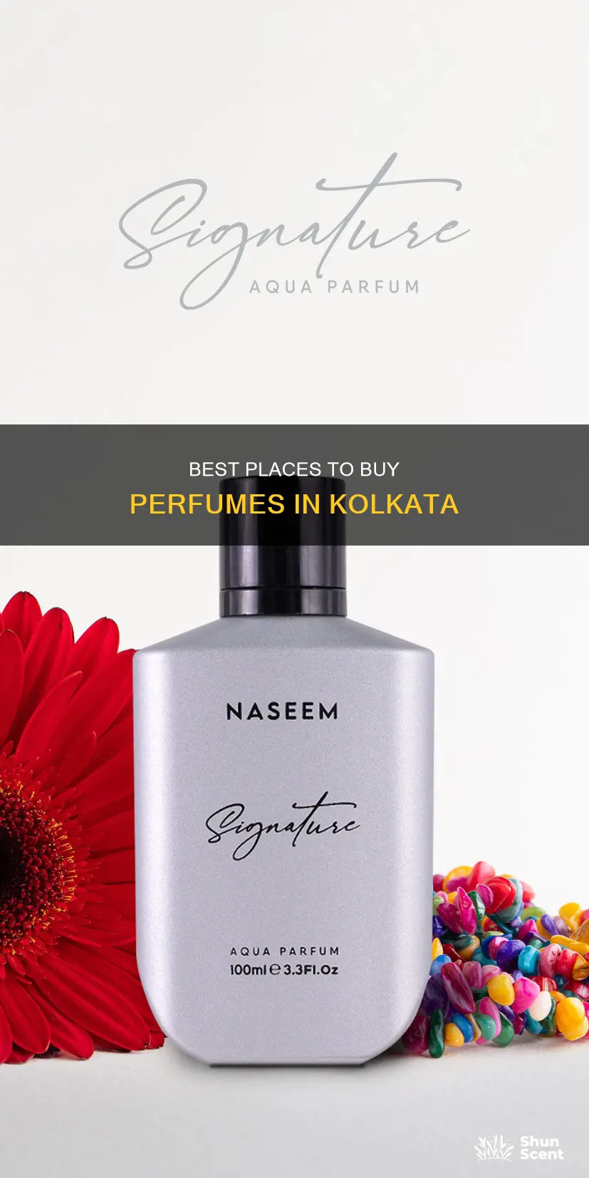 where to buy perfumes in kolkata