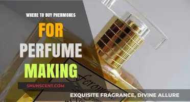 Best Pheromone Sources for Perfume Making