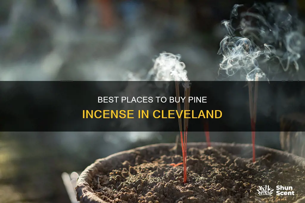 where to buy pine incense sticks in cleveland ohio