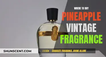 The Best Stores for Pineapple Vintage Fragrance