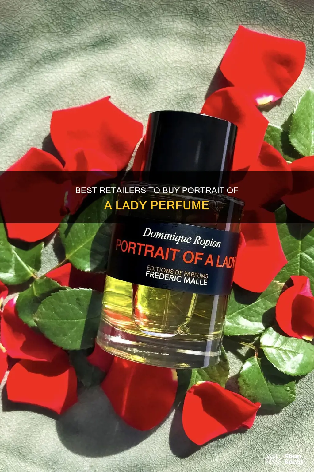 where to buy portrait of a lady perfume