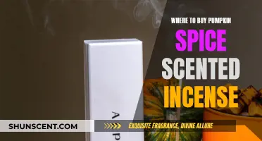 Pumpkin Spice Incense: Where to Buy the Best Fall Scents