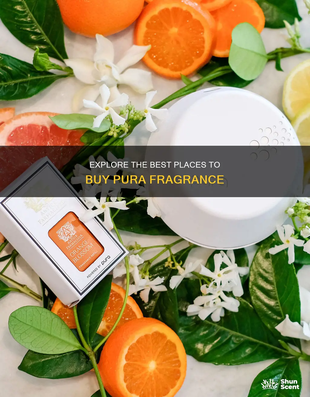 where to buy pura fragrance