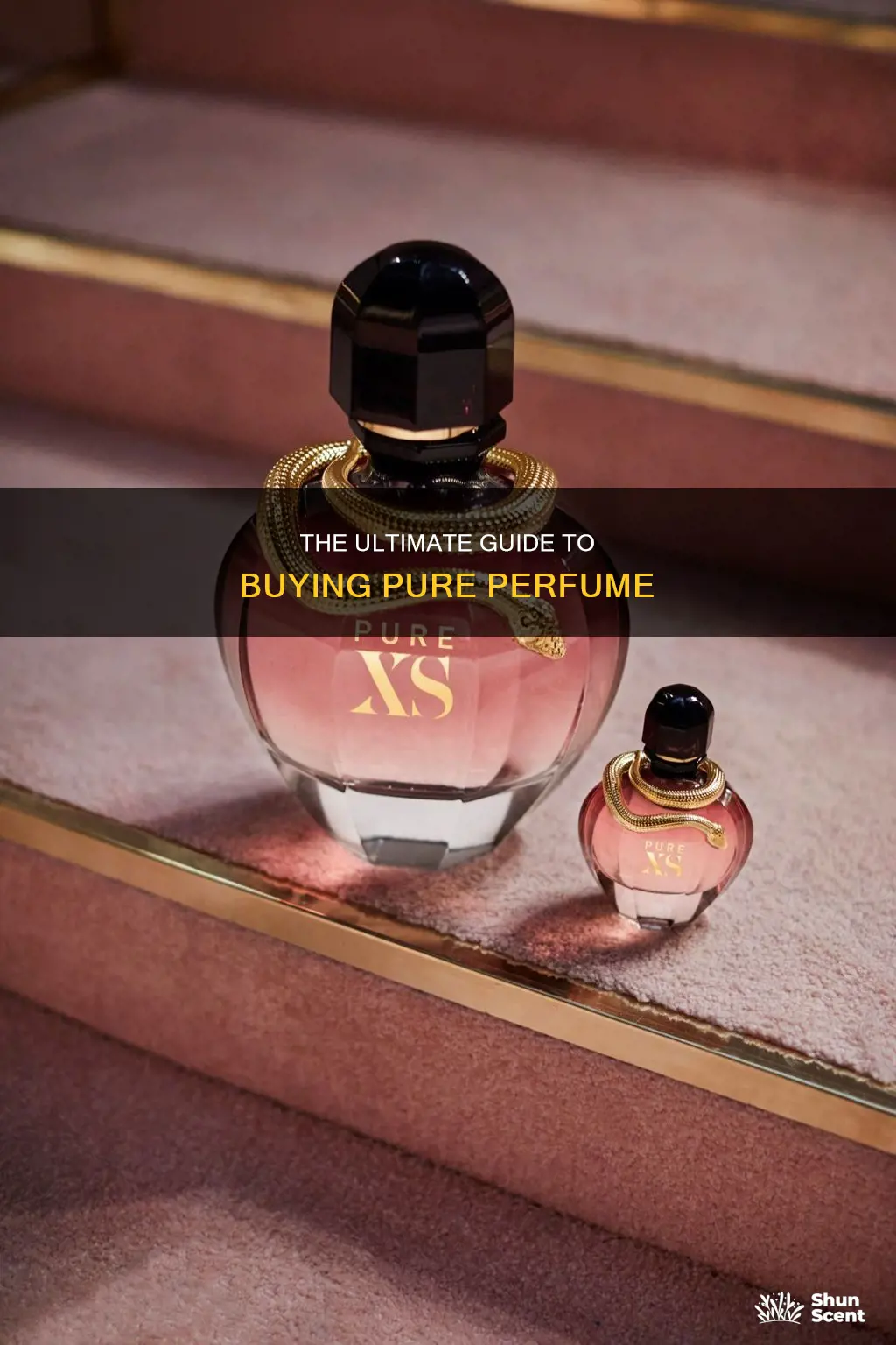 where to buy pure perfume