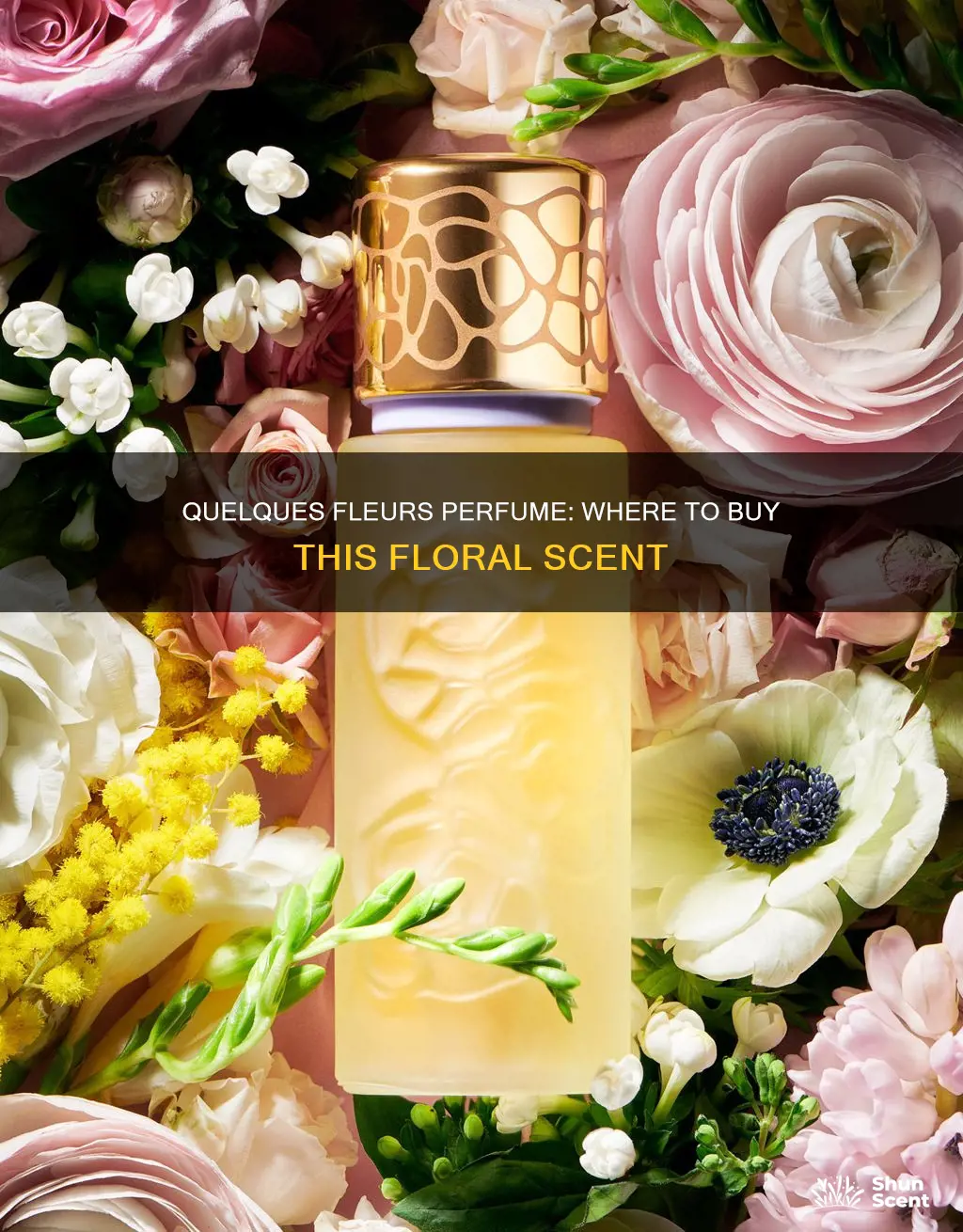 where to buy quelques fleurs perfume