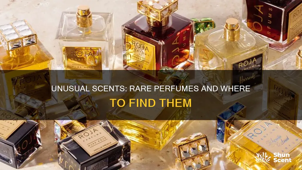 where to buy rare perfumes