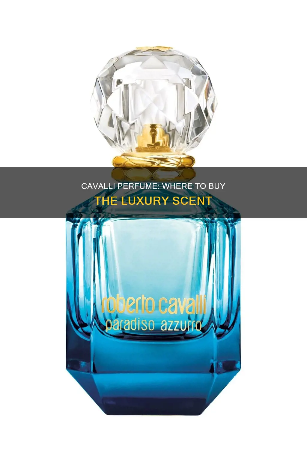 where to buy roberto cavalli perfume