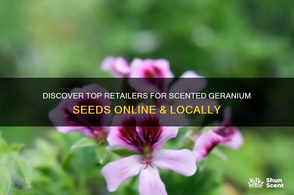 where to buy scented geranium seeds