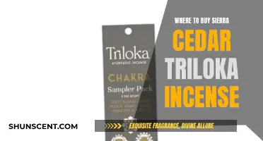 Best Places to Buy Triloka Incense
