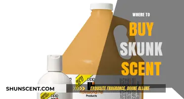 Where to Buy Skunk Scent: Top Retailers and Online Sources