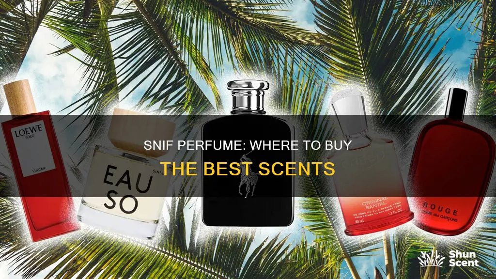 where to buy snif perfume