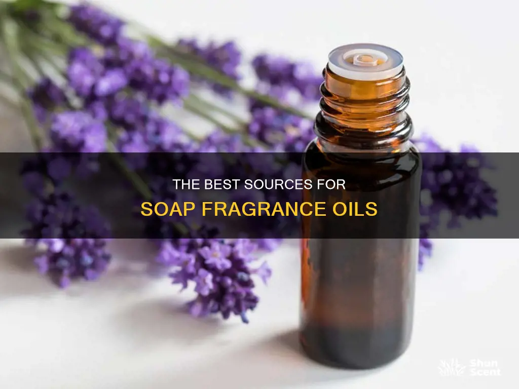 where to buy soap fragrance oils