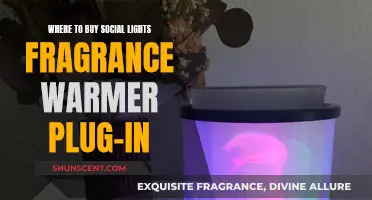 Best Plug-in Fragrance Warmers for Your Home