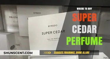 Best Places to Buy Super Cedar Perfume