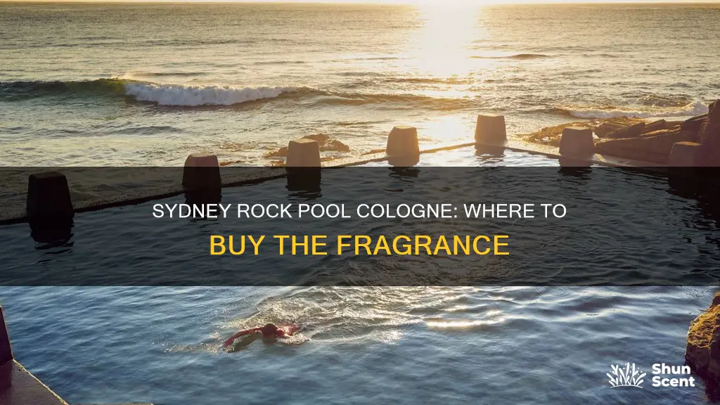 where to buy sydney rock pool cologne