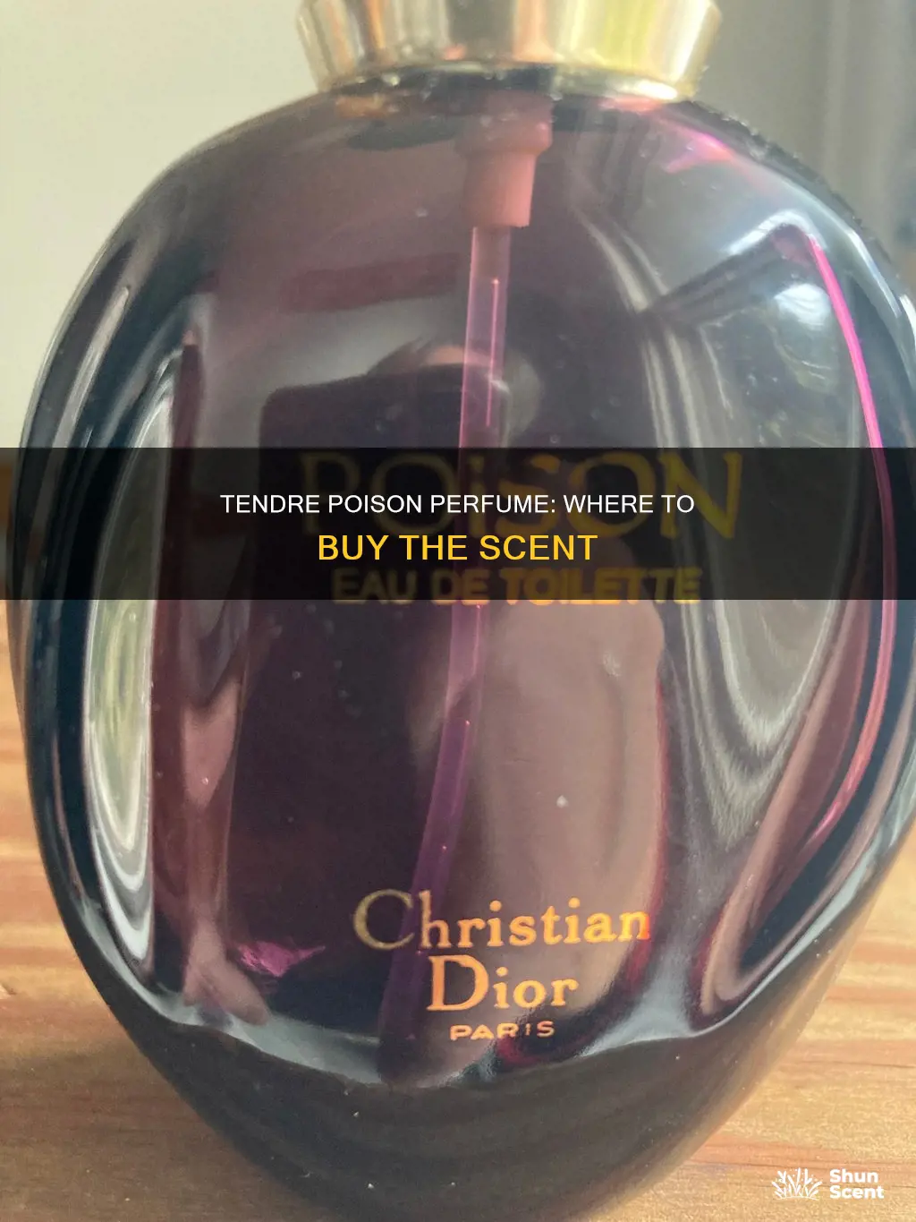 where to buy tendre poison perfume